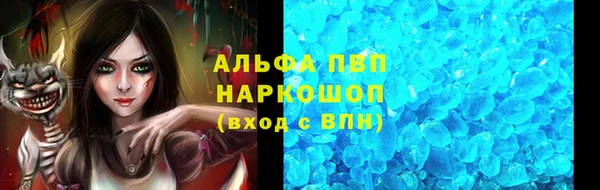 гидра Волоколамск