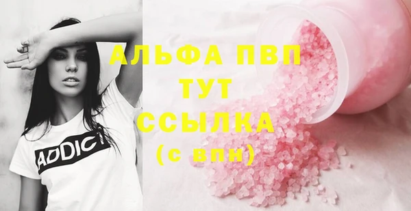 гидра Волоколамск