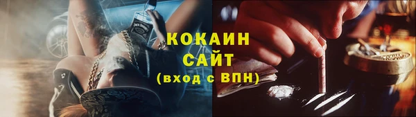 гидра Волоколамск