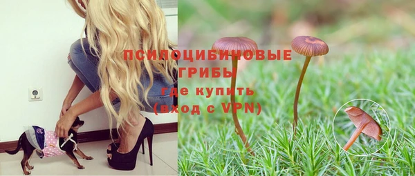 спайс Володарск