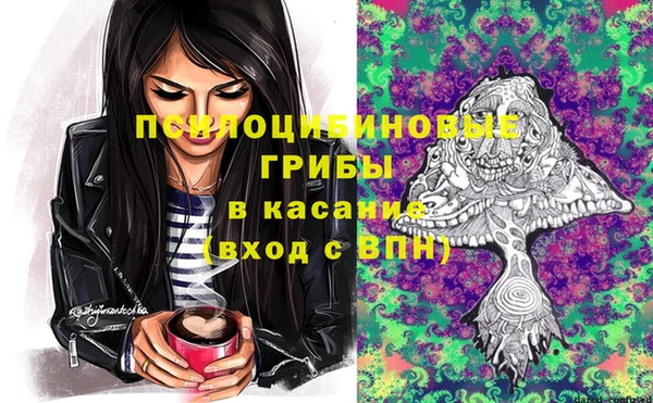 гидра Волоколамск